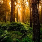 1754279181_Ένα-τεστ-προσωπικότητας-θα-αποκαλύψει-ένα-από-τα-πιο-ενδιαφέροντα.webp.webp